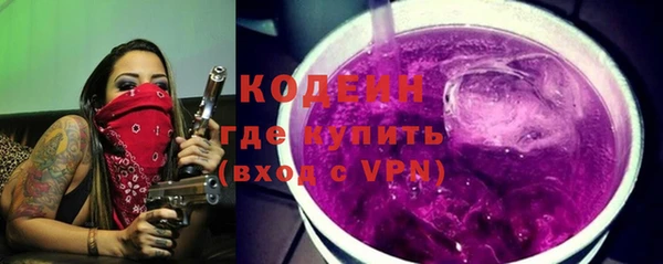 стаф Каменногорск