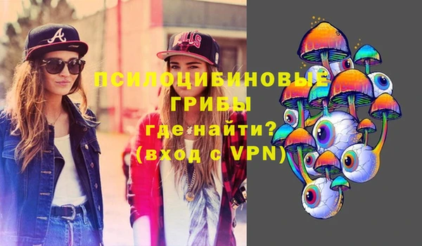 крисы Инсар