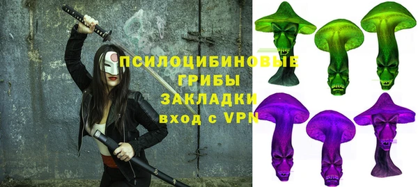 крисы Инсар