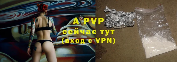 стаф Зерноград