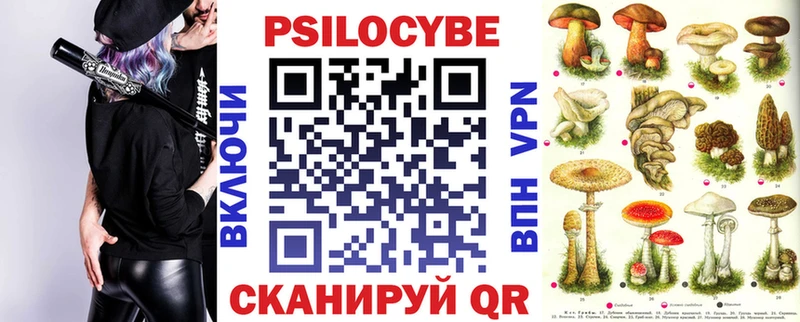 Псилоцибиновые грибы MAGIC MUSHROOMS  Купить закладки  Жуковка 